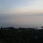 Marulivo