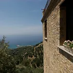Marulivo
