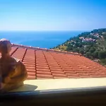 Marulivo 3*