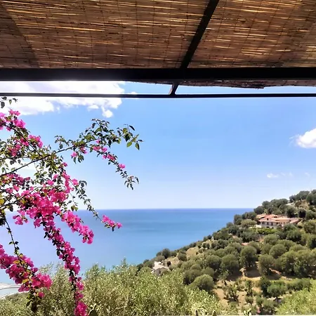 Marulivo Pisciotta