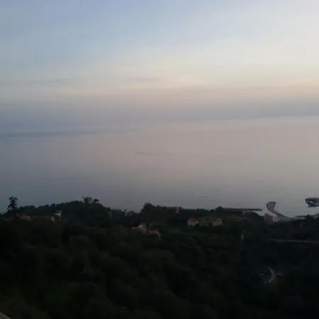 Marulivo
