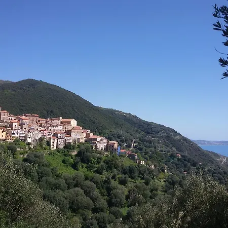 マルリーヴォ ホテル